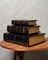 SET LIBROS PIEL CAFÉ