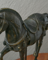 CABALLO MAGNUS