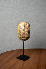 ESCULTURA REPLICA CAPARAZON DE TORTUGA CAFE