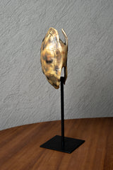 ESCULTURA REPLICA CAPARAZON DE TORTUGA CAFE