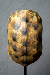 ESCULTURA REPLICA CAPARAZON DE TORTUGA CAFE