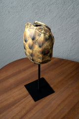 ESCULTURA REPLICA CAPARAZON DE TORTUGA CAFE