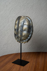 ESCULTURA REPLICA CAPARAZON DE TORTUGA NEGRO