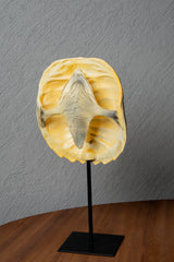 ESCULTURA REPLICA CAPARAZON DE TORTUGA NEGRO