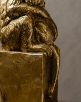 SET DE CHANGOS MAMÁ E HIJO