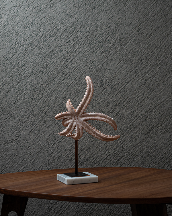 ESTRELLA DE MAR