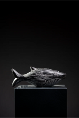 SET DE BALLENAS
