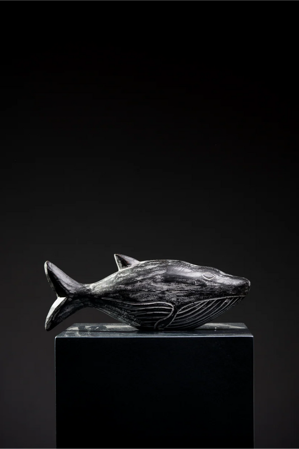 SET DE BALLENAS