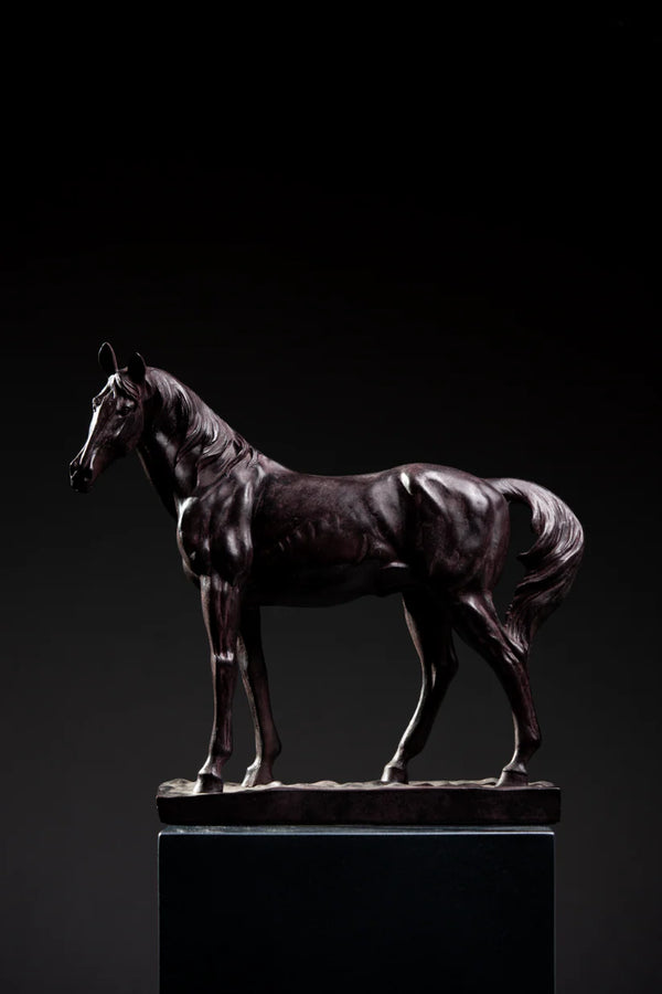CABALLO TORNASOL