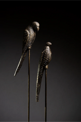 SET PAJAROS OCRE