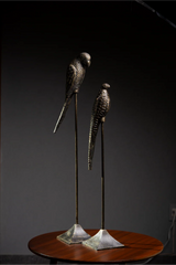 SET PAJAROS OCRE