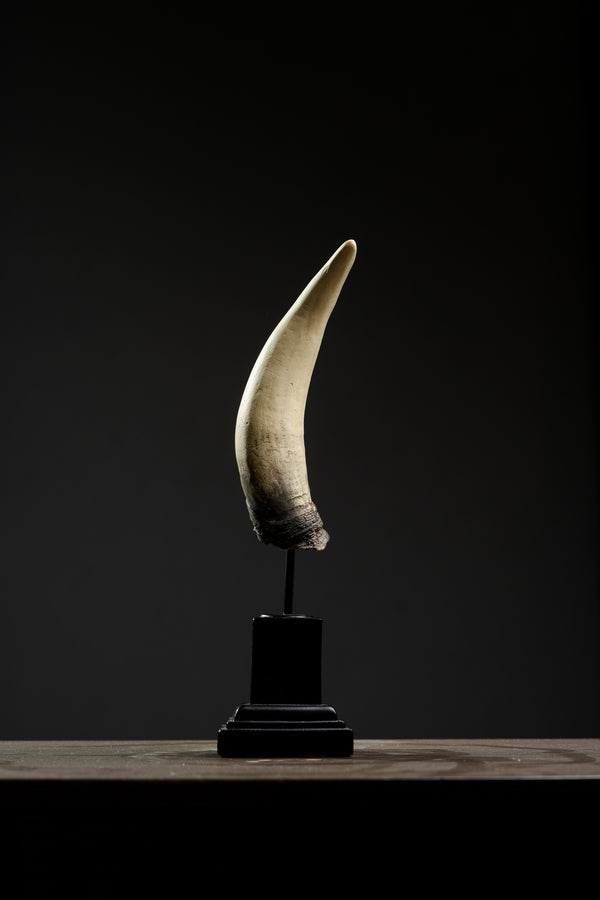 ESCULTURA DECORATIVA SIMULACION CUERNO