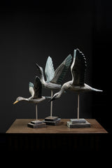 SET DE 3 GAVIOTAS