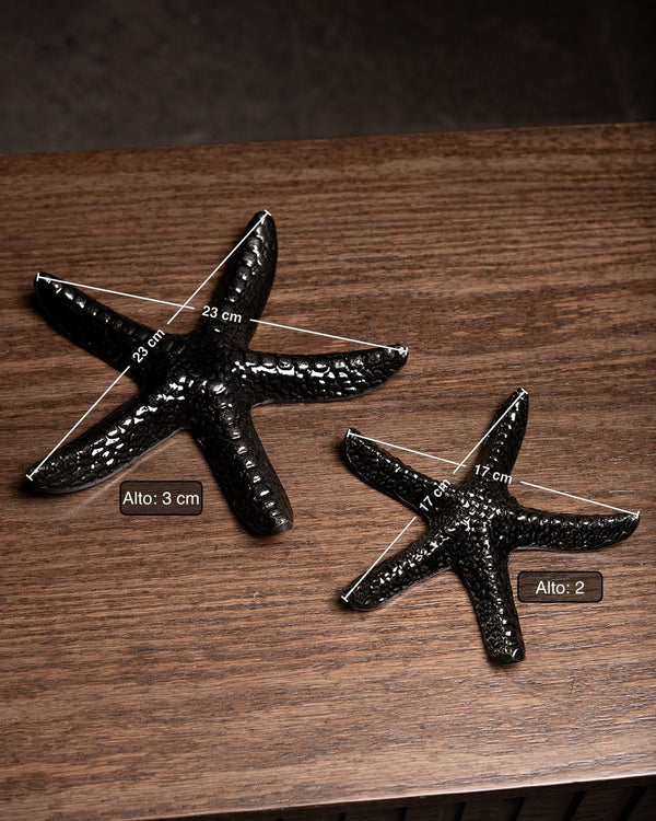 SET DE ESTRELLAS DE MAR