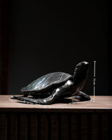 TORTUGA