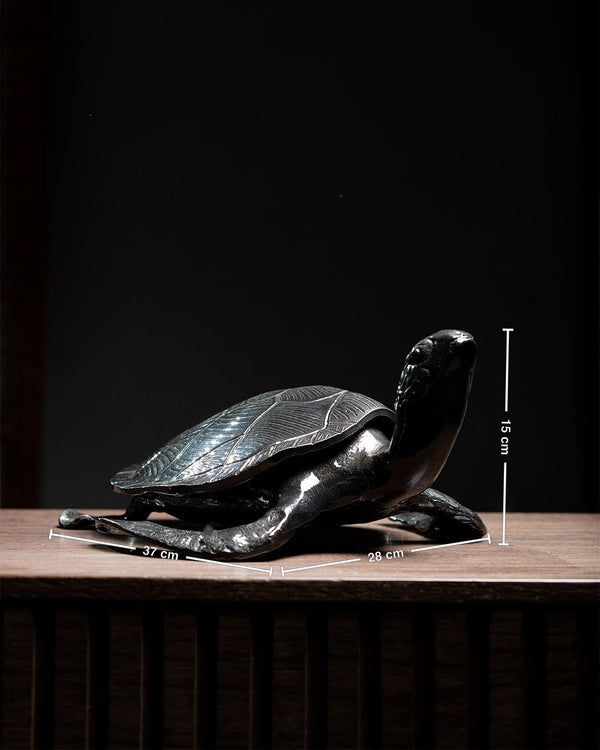 TORTUGA