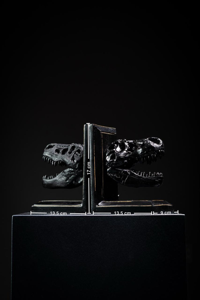 PORTALIBROS ESQUELETO DINOSAURIO