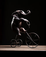 ELEFANTE EN BICICLETA