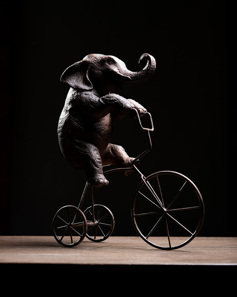 ELEFANTE EN BICICLETA