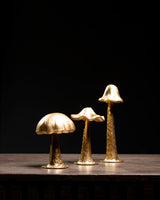 SET DE 3 HONGOS