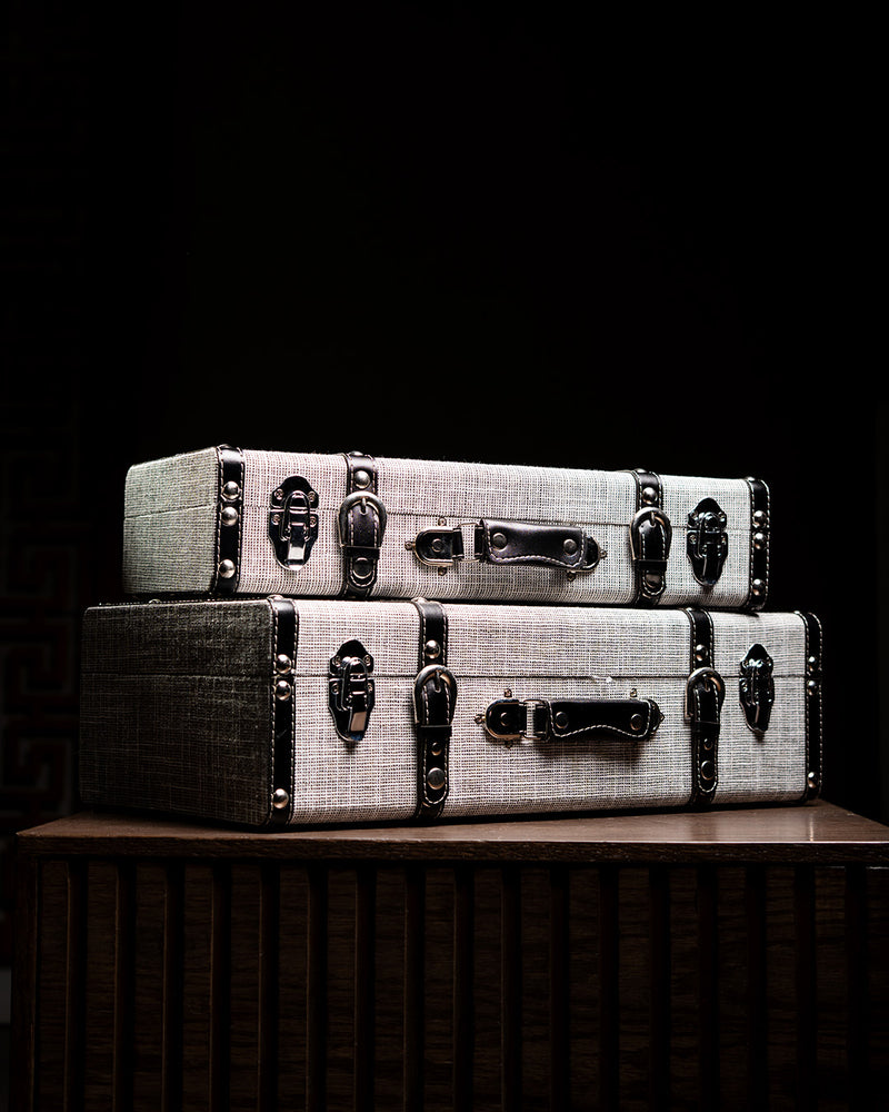 SET DE MALETAS GRISES