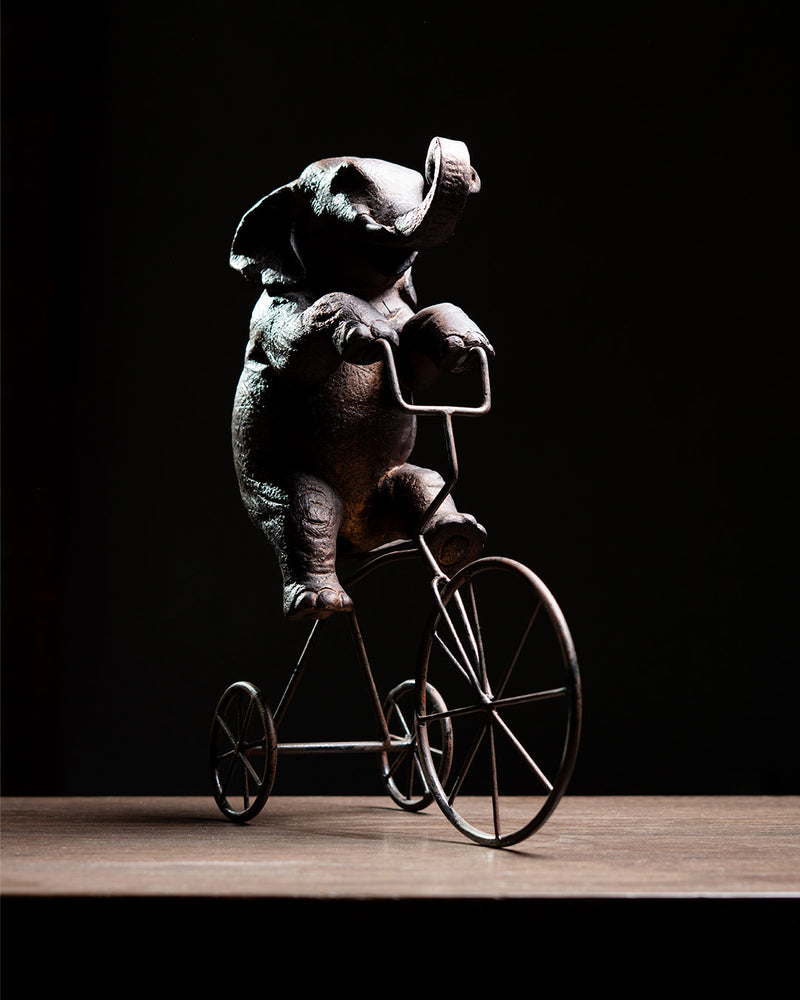 ELEFANTE EN BICICLETA