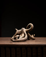 PULPO