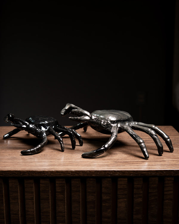 SET DE CANGREJOS