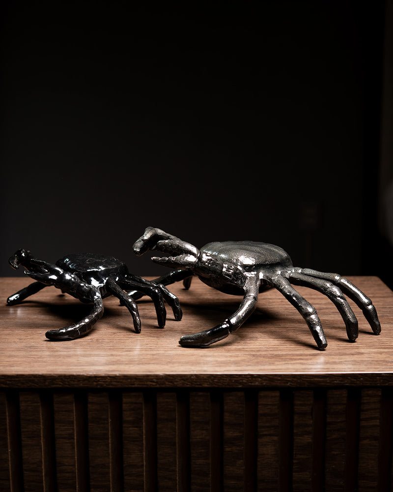 SET DE CANGREJOS