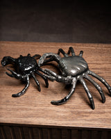 SET DE CANGREJOS