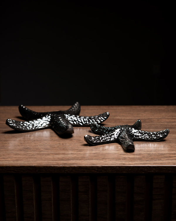 SET DE ESTRELLAS DE MAR