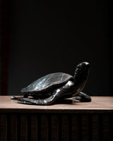 TORTUGA