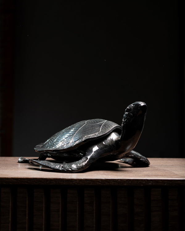 TORTUGA