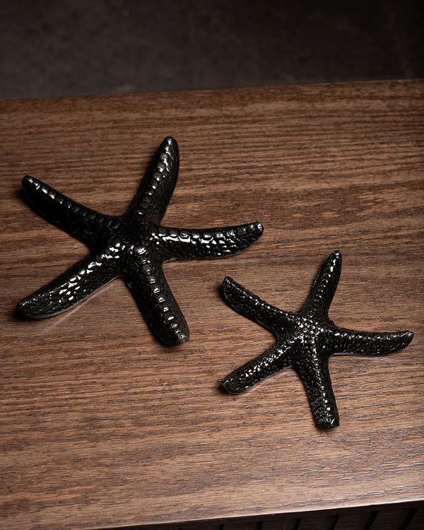 SET DE ESTRELLAS DE MAR