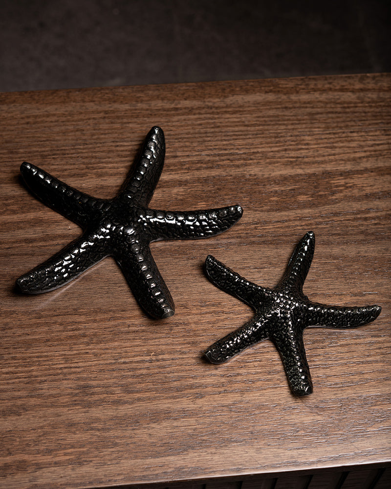 SET DE ESTRELLAS DE MAR