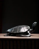 TORTUGA