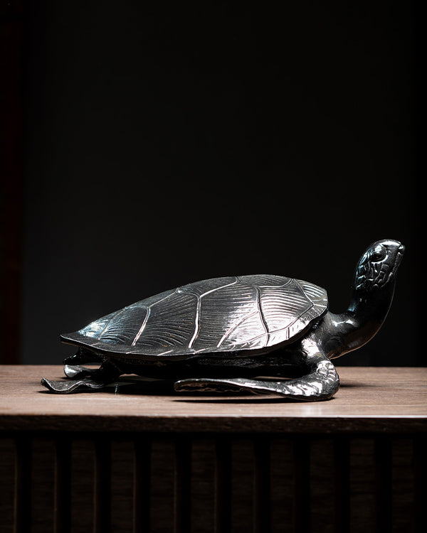 TORTUGA