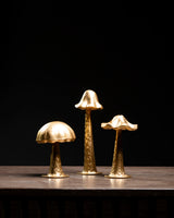 SET DE 3 HONGOS