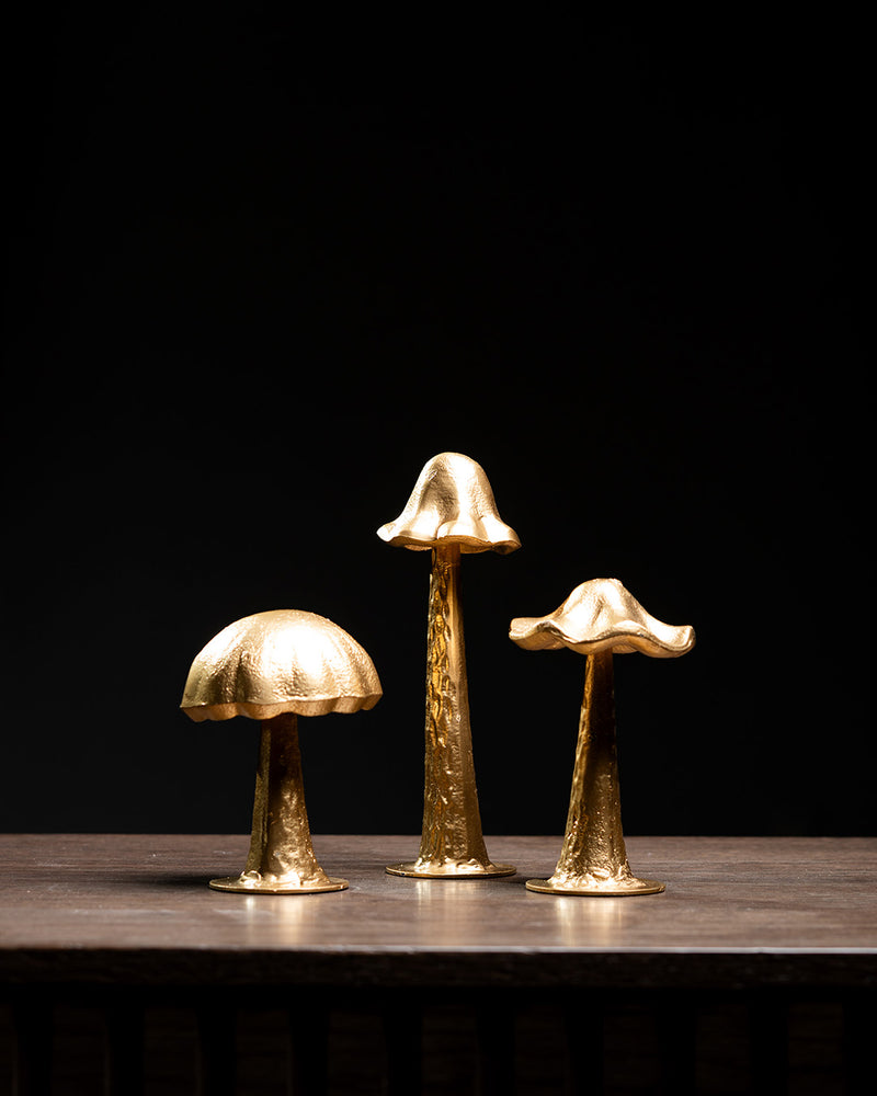 SET DE 3 HONGOS
