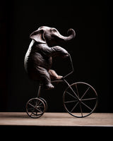 ELEFANTE EN BICICLETA