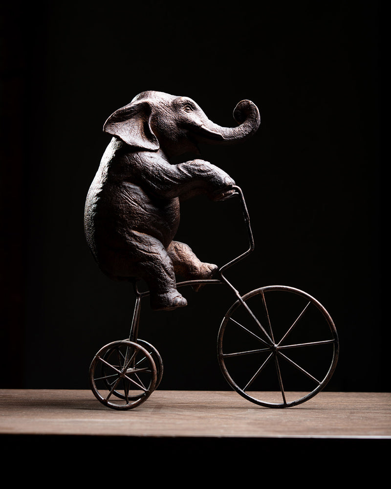 ELEFANTE EN BICICLETA